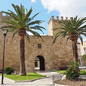 Simo **** Alcúdia